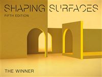 Shaping Surfaces 5 - The Winner